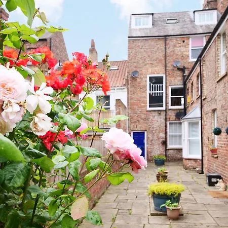 Fifth Quarter With Free Parking